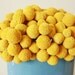 craspedia cluster