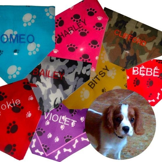 Custom Dog Embroidered Name Bandanas Gifts