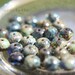 CANYON .. Picasso Czech Glass Rondelle Beads (552-10)