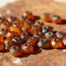 RIPE MANGO .. Czech Picasso Faceted Rondelle Beads 3x5mm (1980-st)