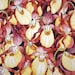 Yellow Lady Slippers an origial watercolor painting