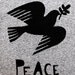 Peace dove children's hoodie