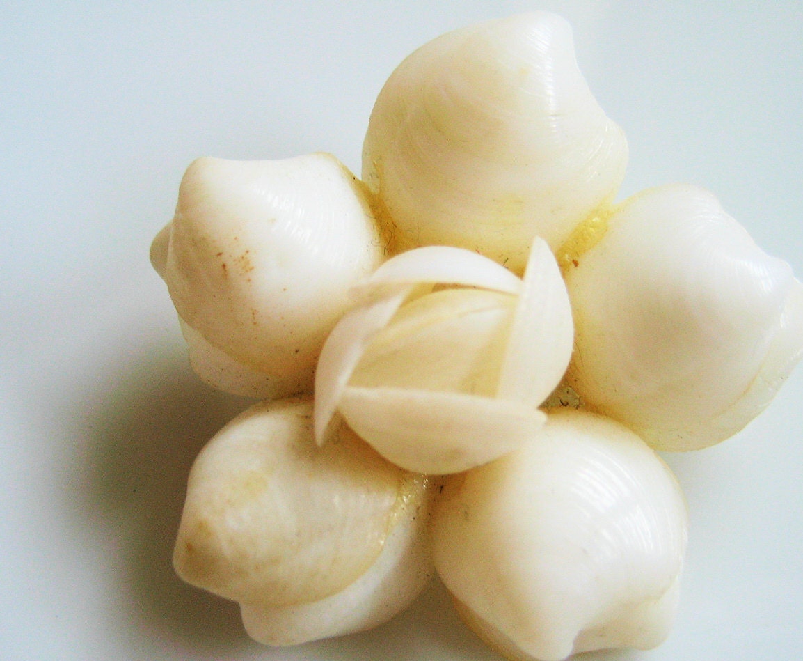 1950s White Shell 5 pointed Star Pin Brooch Vintage Handmade, Shipping Included to USA