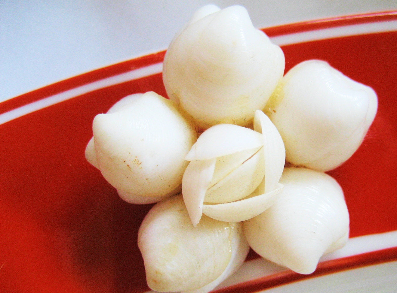 1950s White Shell 5 pointed Star Pin Brooch Vintage Handmade, Shipping Included to USA