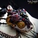 SOLD Cat Skull Necklace Tribal Amulet Red Tigers Eye Black Tourmaline Pagan Talisman Wiccan Costume  FIREHORN DRAGO by Spinning Castle