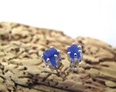 Sea Glass Jewelry - Cobalt Blue - Sea Glass Stud Earrings - Miniature Earrings - Sterling Silver