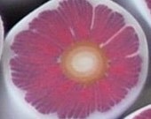 Raw Polymer Clay Cane Flower Pink Purple Petal Floral Bead Making
