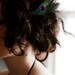 the peahen's fan