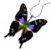Real Butterfly Wing Necklace / Pendant (WHOLE Graphium Weiskei Purple Spotted Butterfly - W019)  - Buy 2 Get 1 Free
