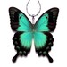 Real Butterfly Wing Necklace / Pendant (WHOLE Green Papilio Lorquinianus Butterfly - W014)  - Buy 2 Get 1 Free