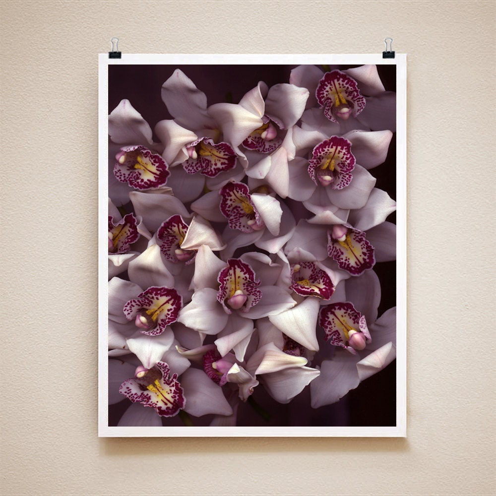 ORCHID - 8x10 Signed Fine Art Photograph