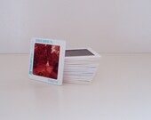 Vintage Slides Florida Cypress Gardens Commercial Shots 1960s