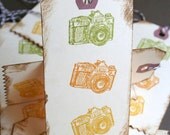 Camera Hang Tags - Fall Colors