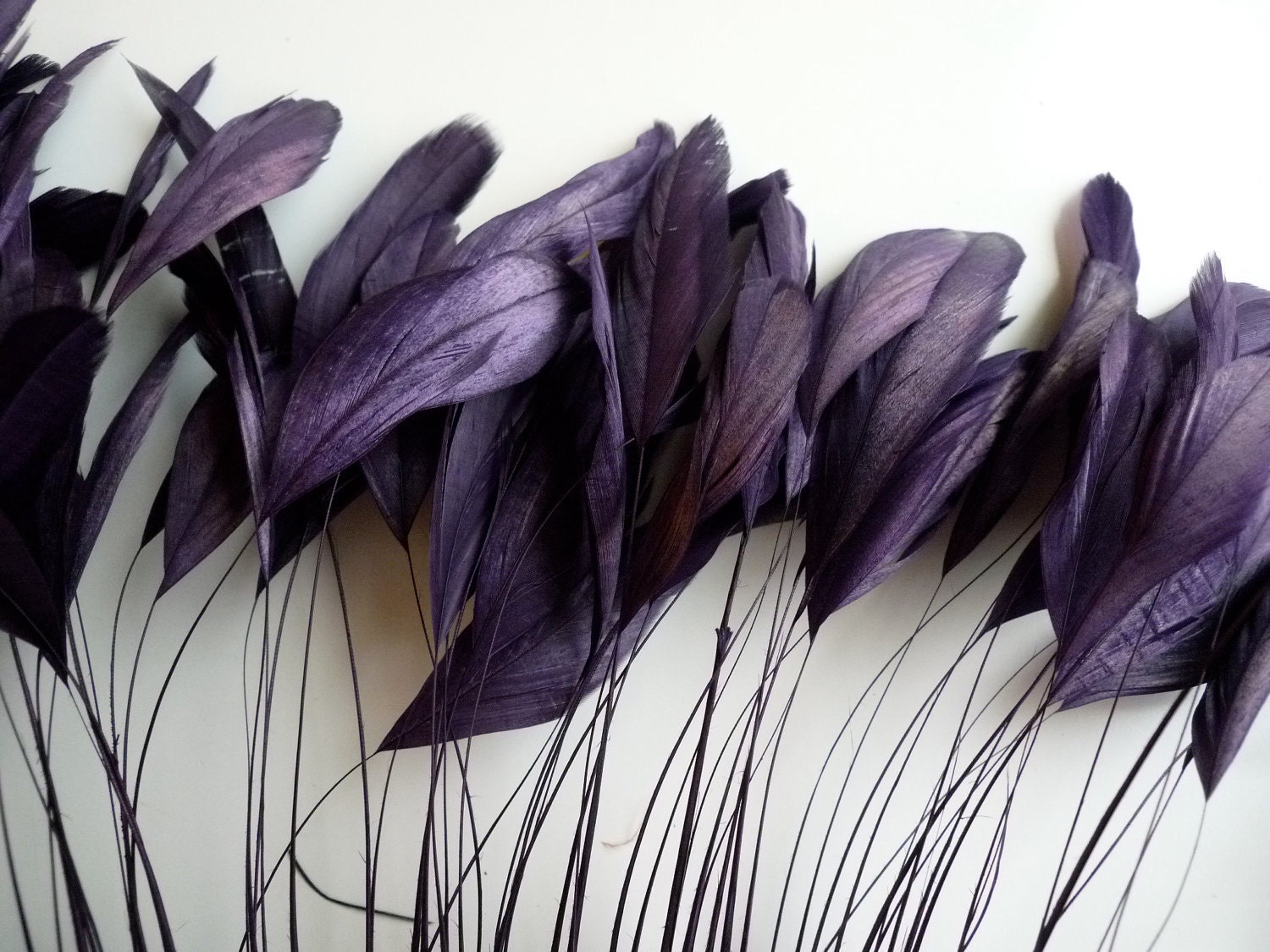 STRIPPED COQUE TAIL / Dark Plum, Aubergine, Wild Berry   /  1139