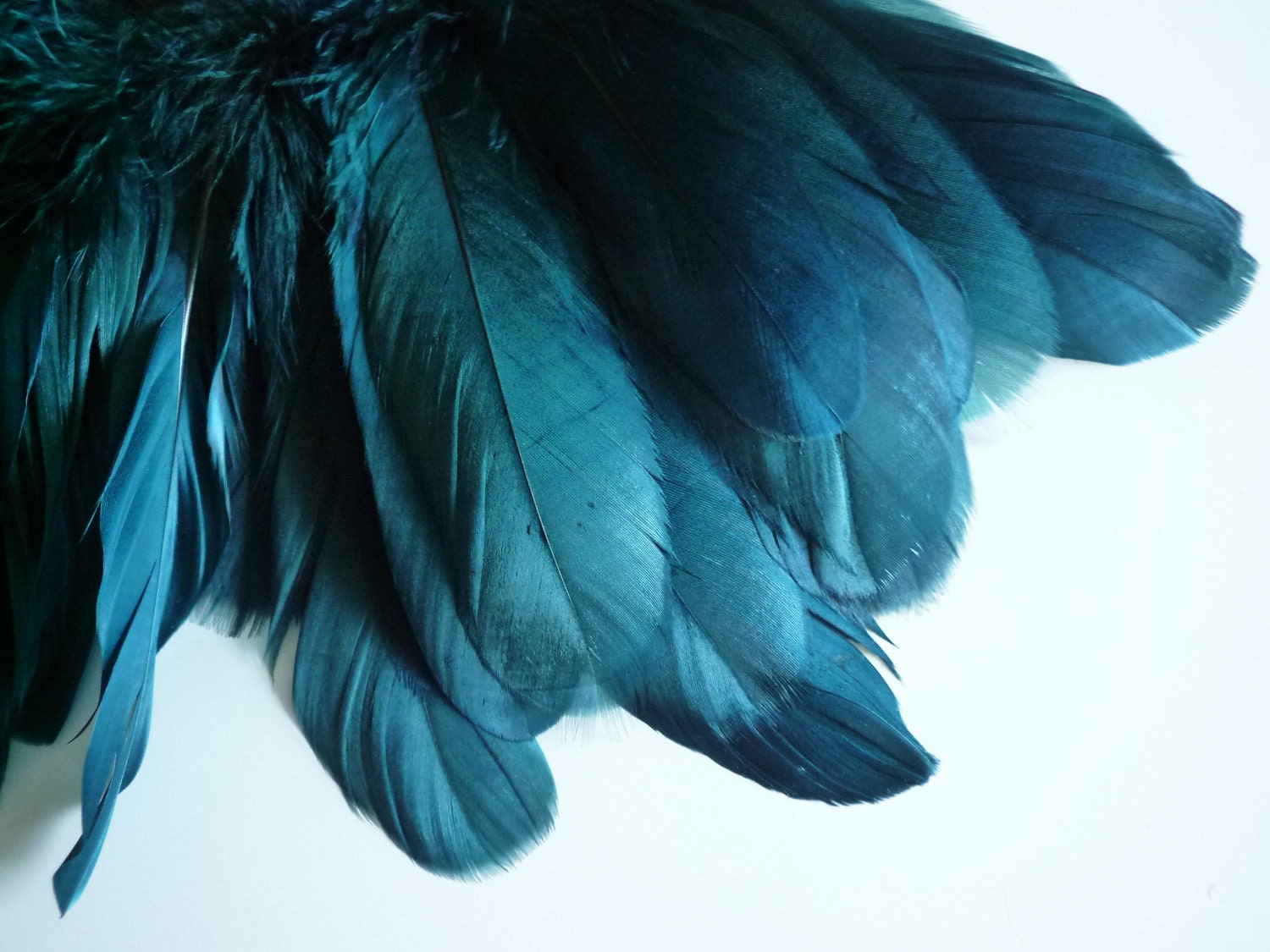 VOGUE GOOSE FEATHER Fringe, Peacock, Dark Teal Blue / 823
