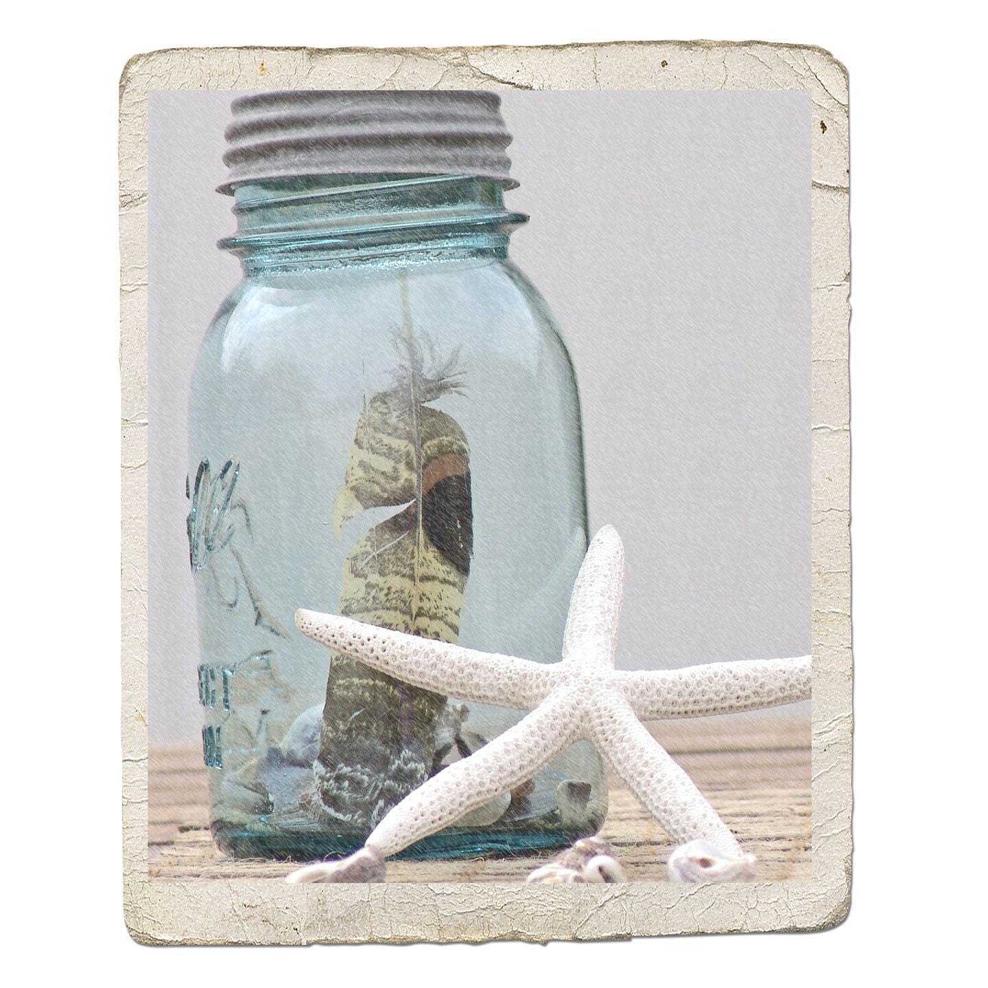Sea Side Fine Art Still Life Photograph -Nature Shell Feather Starfish Aqua Blue Vintage Style Beach Whitewashed
