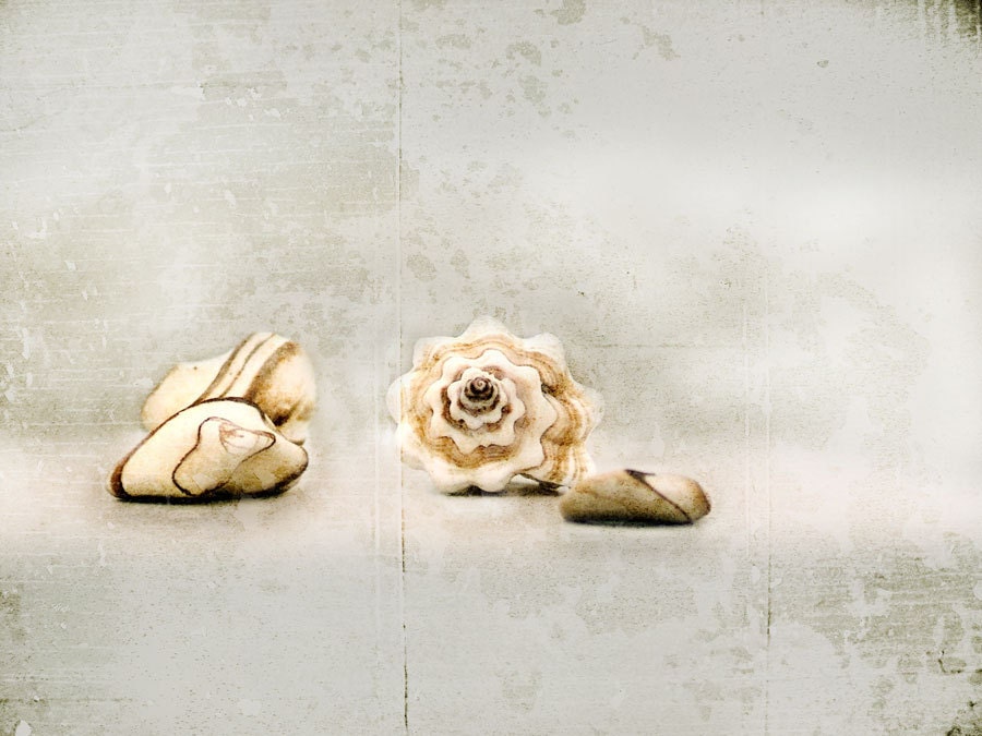 Oyster Gray Rustic Beach House Decor Pebbles and Shells Photo -Seashell Stones Print
