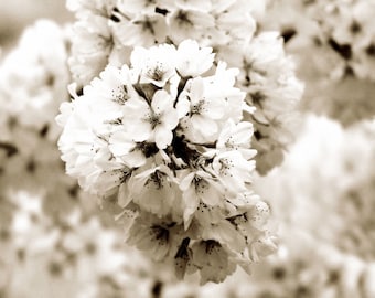 Handmade Wedding Decor  -Bridal Art Photograph Flowers Rustic Black White Vintage Style