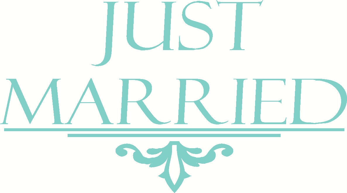 Just Married Car Decal/Car Transfer/Car Sticker with Graphic