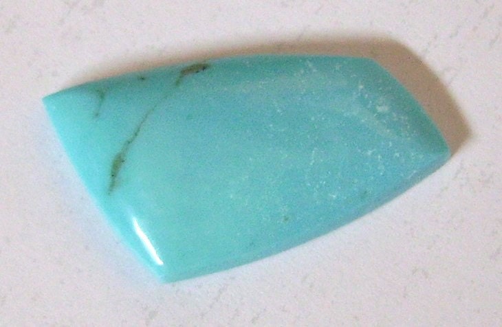 Campitos Turquoise Freeform Designer Cabochon