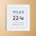 Custom Birth Announcement Print - AIRPLANE Wall Art