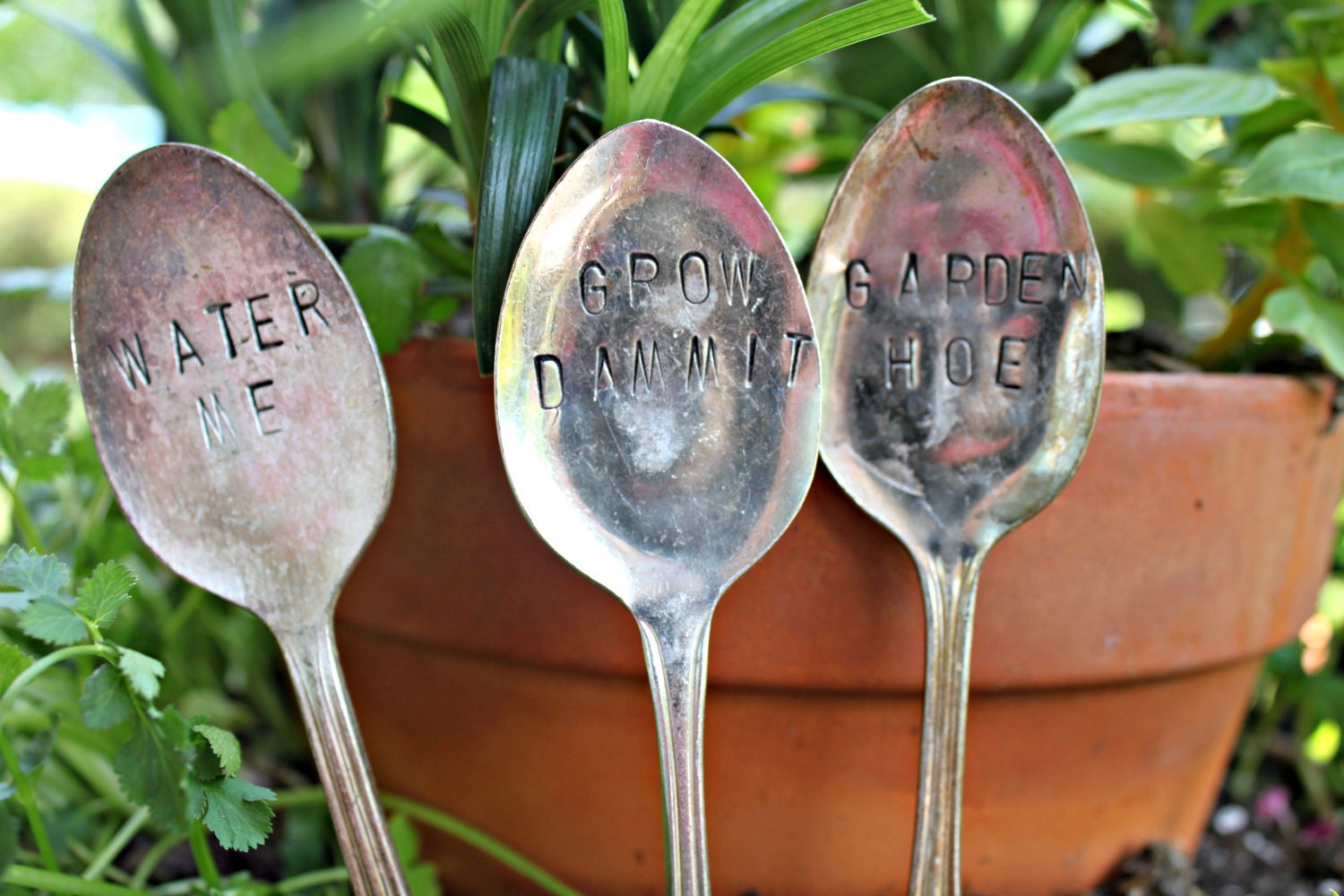 Set of 3 - Humor Garden Markers