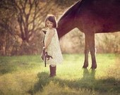 Horse Toile Dress in Cream and Brown - Jumper sizes 12 to 18mos, 2T, 3, 4, 5, 6, 7 by The Trendy Tot