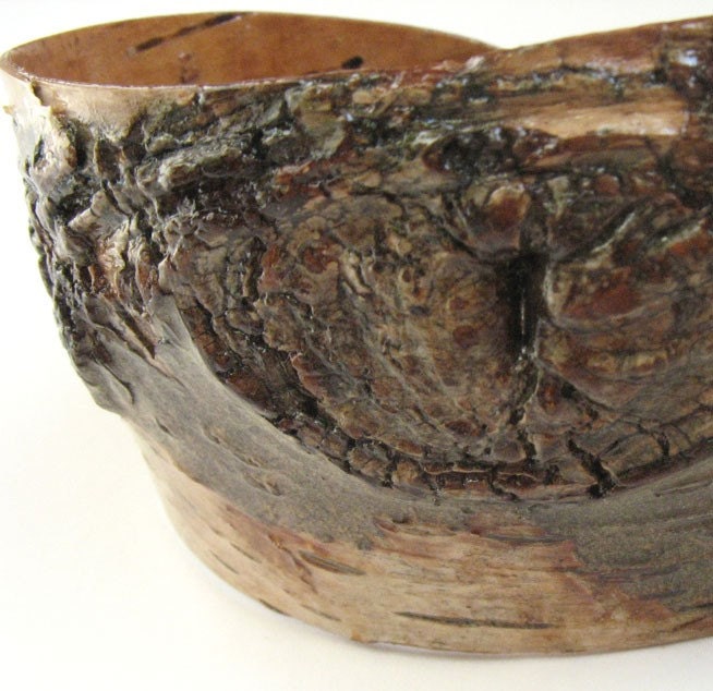 Birch bark cuff, Branch