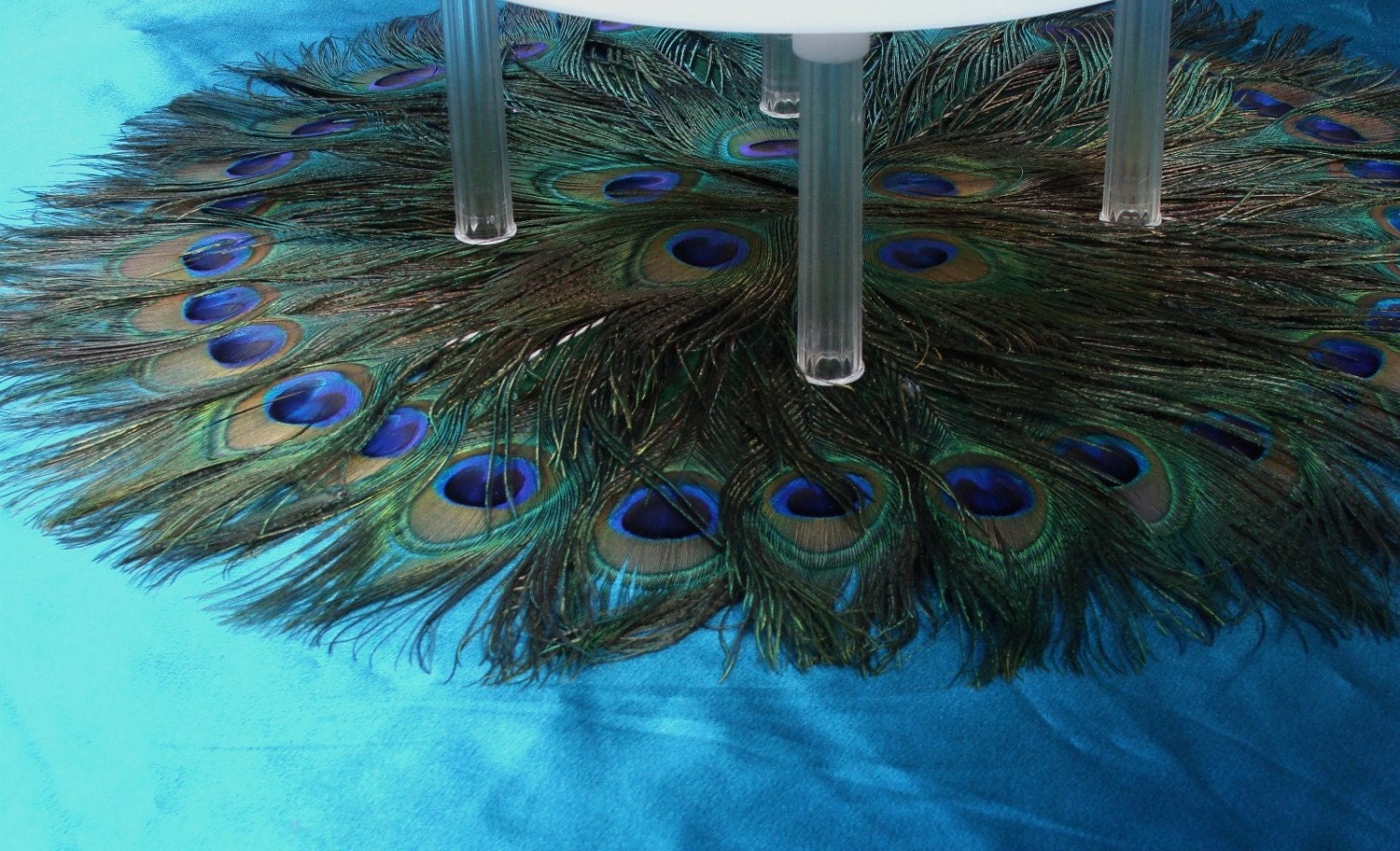 Peacock Feather Cake Table Mat 30"