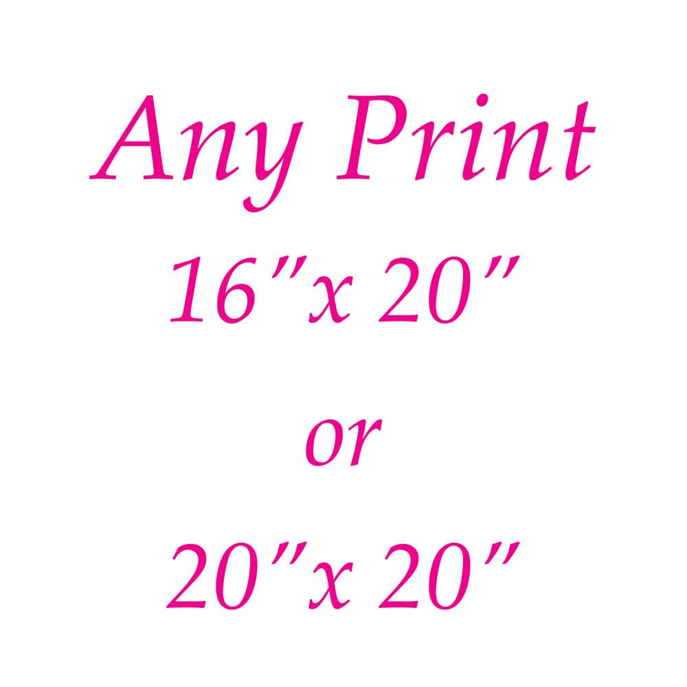 Any Large 16 x 20 inches or 20 x 20 inches Art Print Poster Print of your Choice