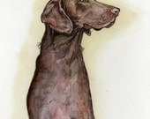 For the love of chocolate - Labrador Dog Print
