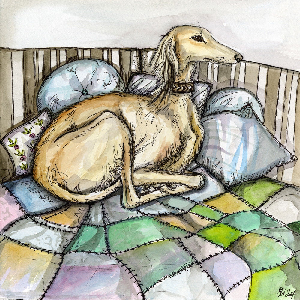 A Little Comfortable - Saluki Art Dog Print