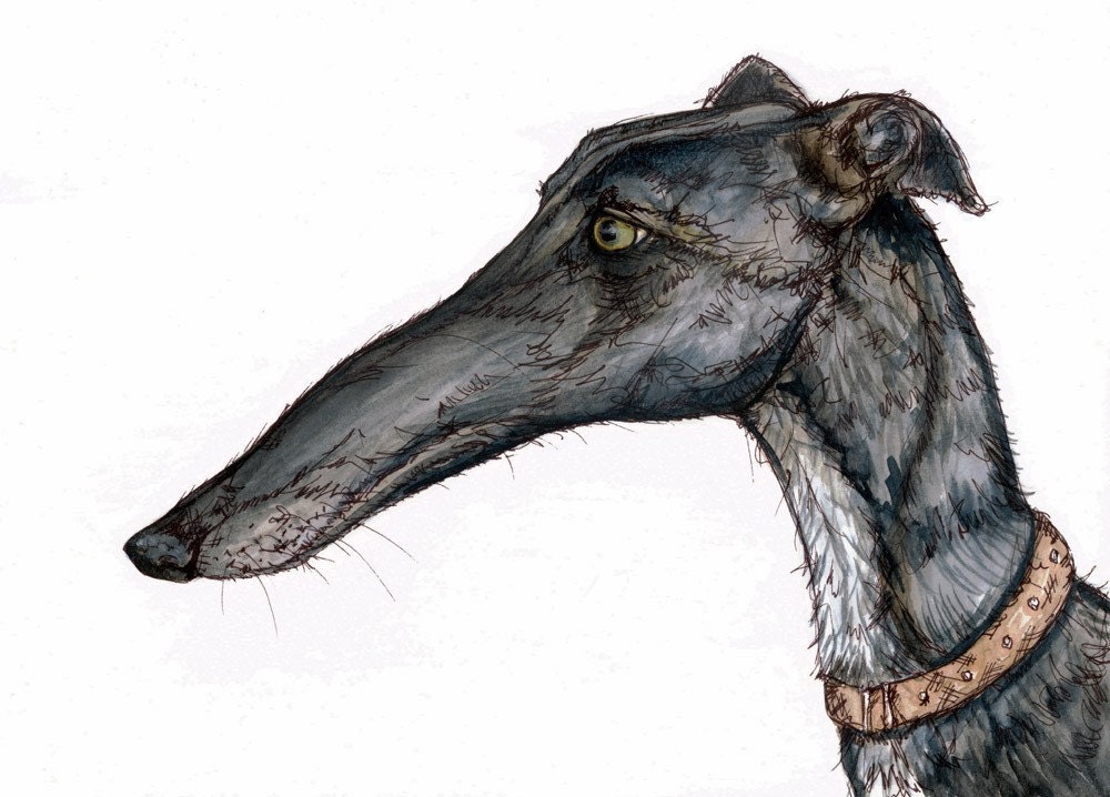 GREYHOUND CANADA SHIPPING greyhound canada shipping: