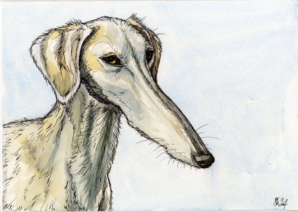 Saluki Art