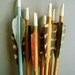 shot through the heart. arrows and sheath. perfect for your valentine.