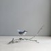 bluebird of happiness / soft sculpture animal