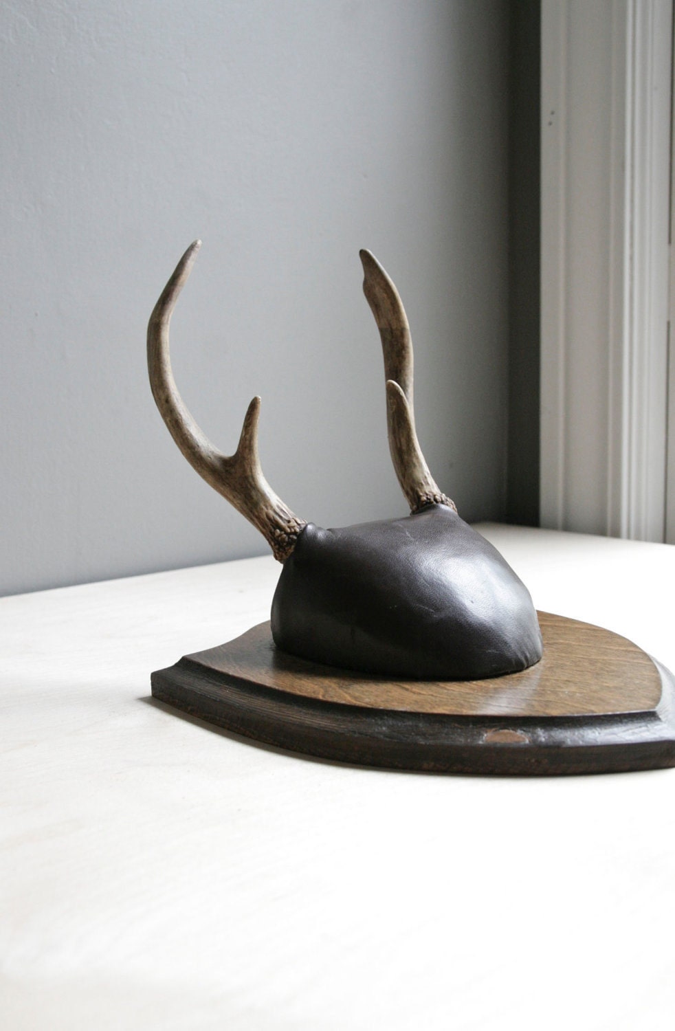 vintage deer antler mount