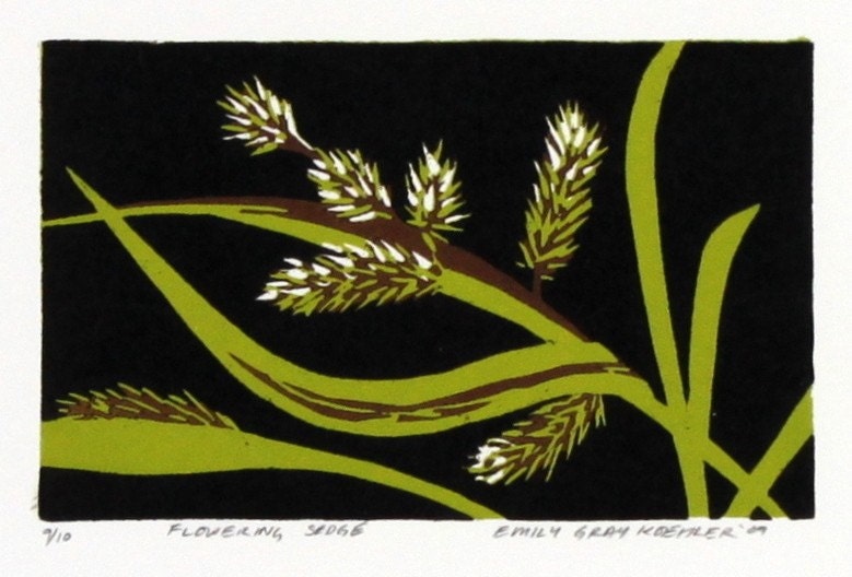 Flowering Sedge - Original Color-Reduction Woodcut