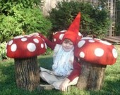 Toad Stool Mushroom