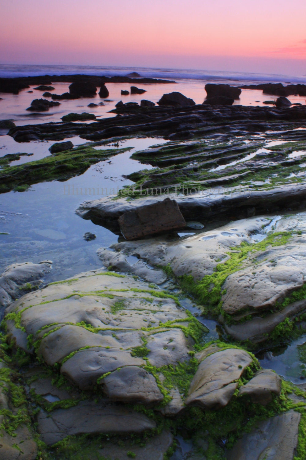 SALE Mossy Rocks at Sunset - Signed 8 x 12 Fine Art Nature Photograph, Laguna Beach, California, Ocean, by IlluminatedLuna