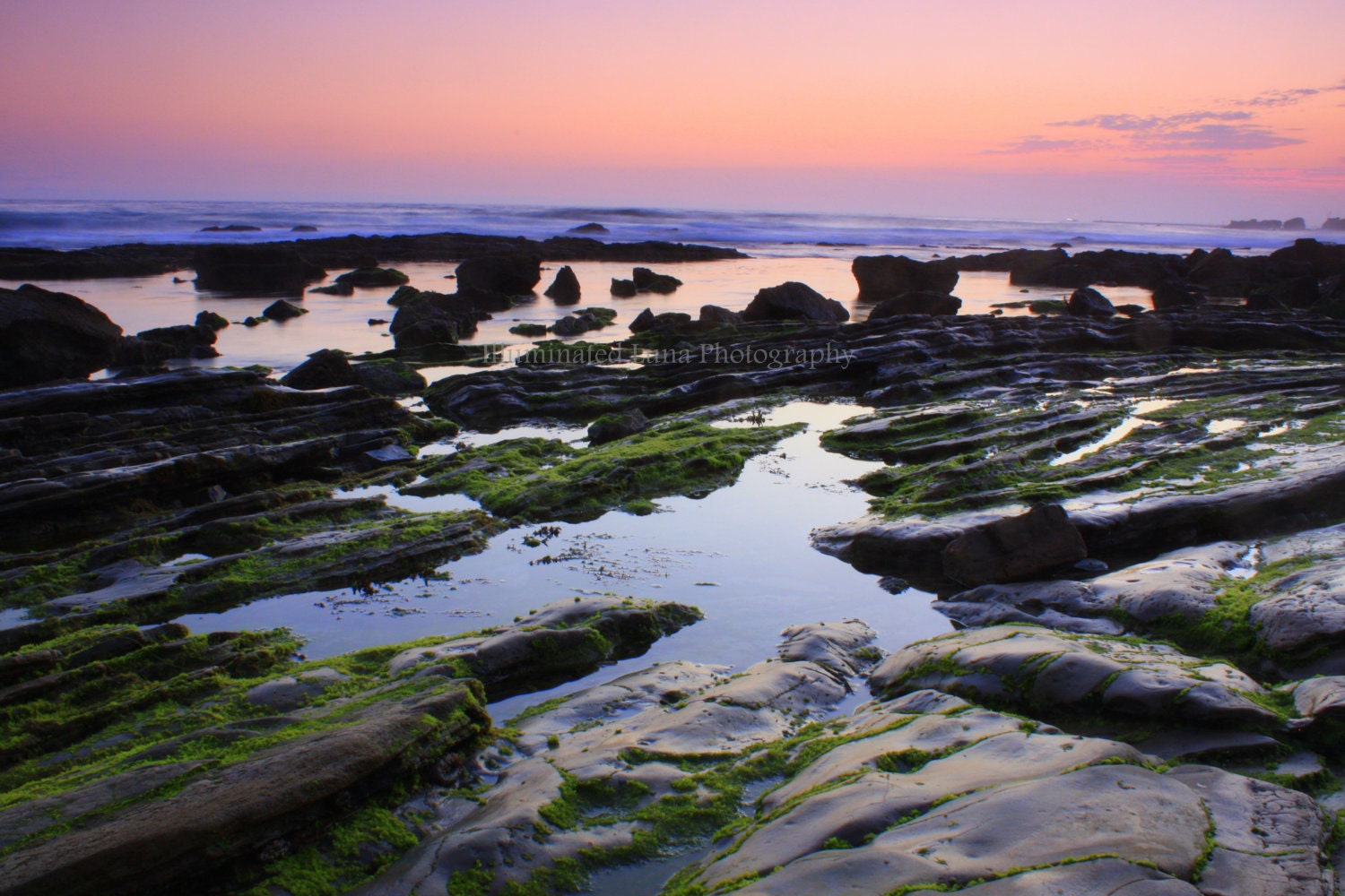 laguna tide pools