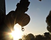 The Last Drop (8x10 photograph)