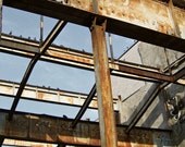 Girder and Pigeons (8x10 photograph)