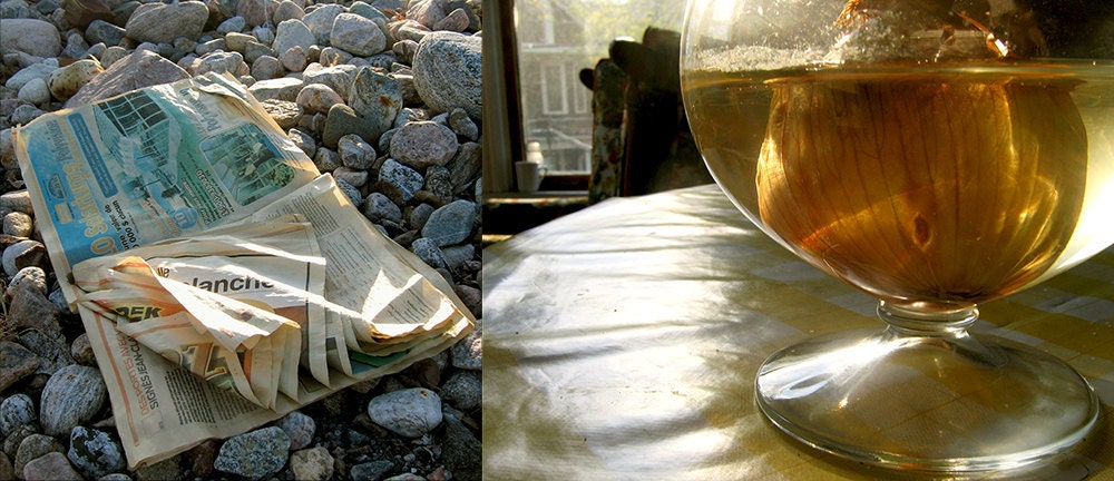 Late Afternoon Diptyct (a photograph)
