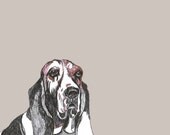 Basset Hound Print - Dog Art