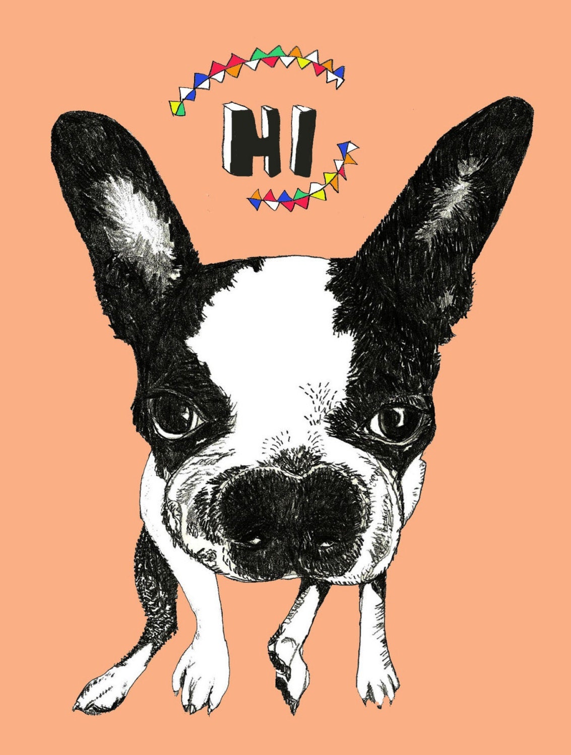Boston Terrier Note Cards - Set of Six