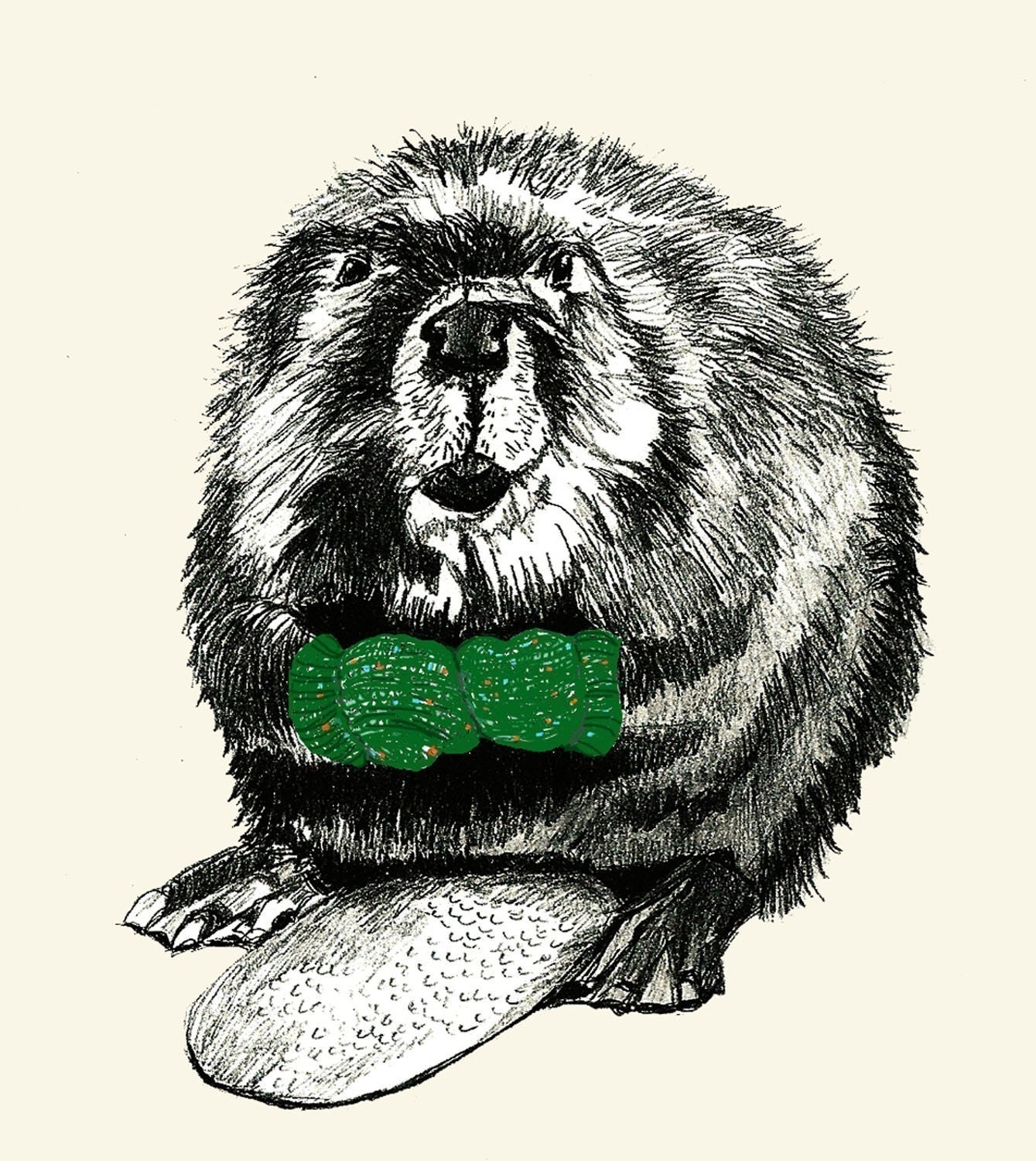 Beavers Love Mittens  -  Beaver Illustration
