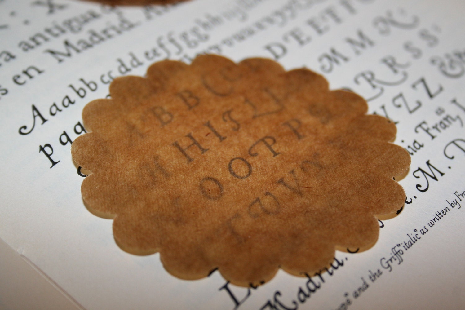 3 inch Scallop Edge Waxed Kraft Paper Circles 12 pcs
