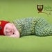 Hungry Caterpillar Cocoon Set