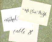 Escort cards,  envelopes with calligraphy